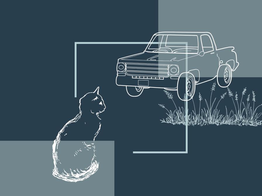 stregtegning af en kat og en bil